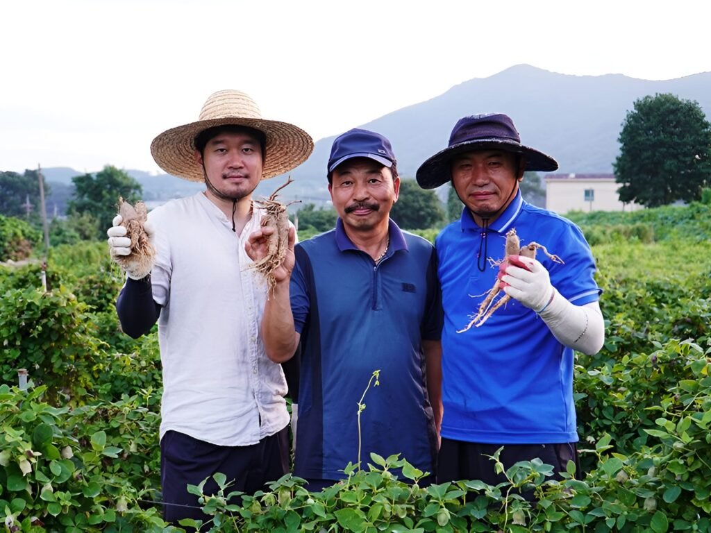 We quit our jobs to travel the world. Now my wife and I run her family's farm in South Korea.