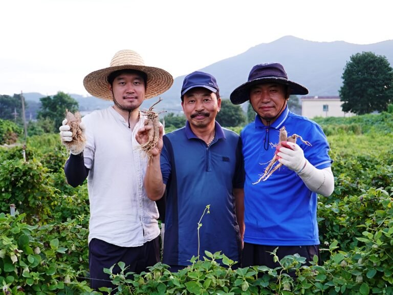 We quit our jobs to travel the world. Now my wife and I run her family's farm in South Korea.