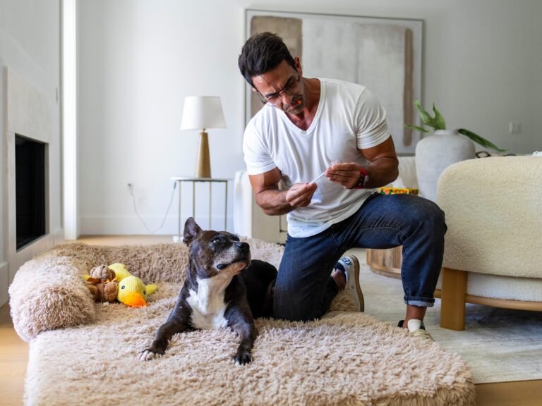 People are giving their dogs peptides to boost their longevity