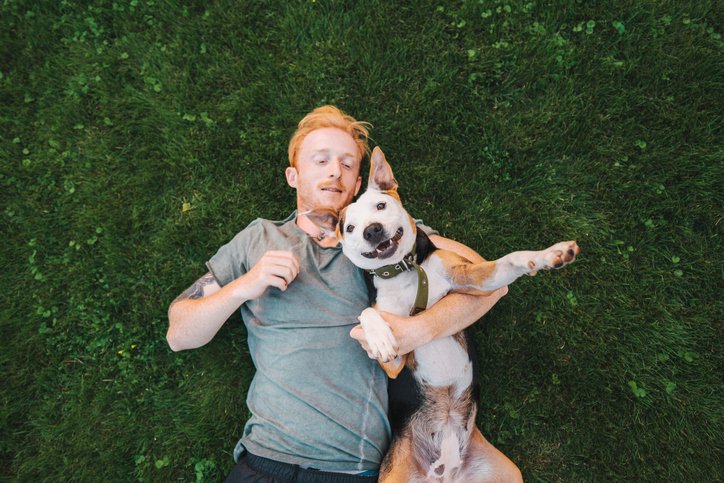 Understanding Heart Disease and Diabetes in Dogs