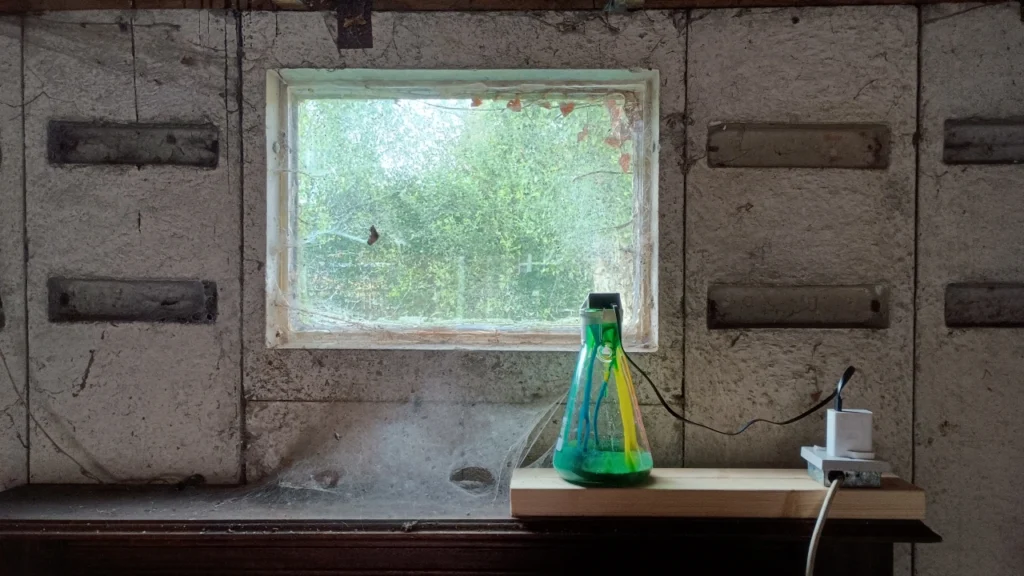 Why a Belfast band used 100 dishes of mould to make their album cover