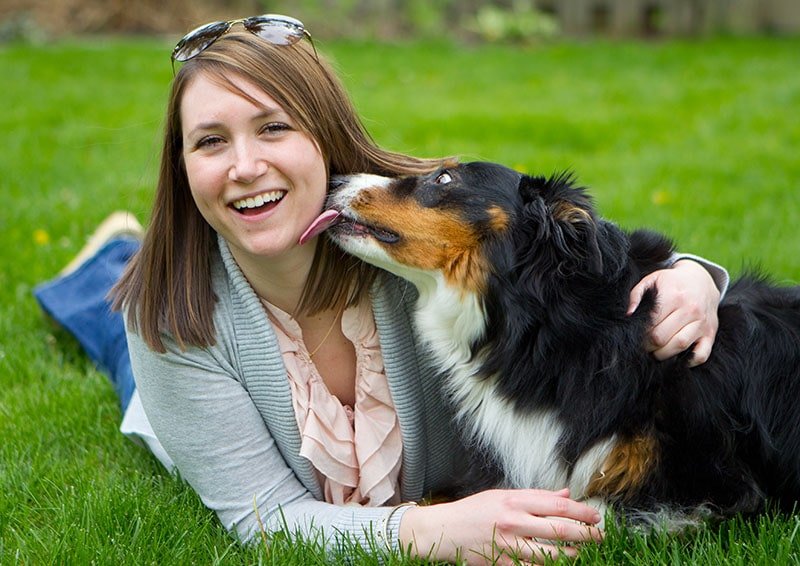 The Sloppy Truth: Why Dogs Love Licking Faces