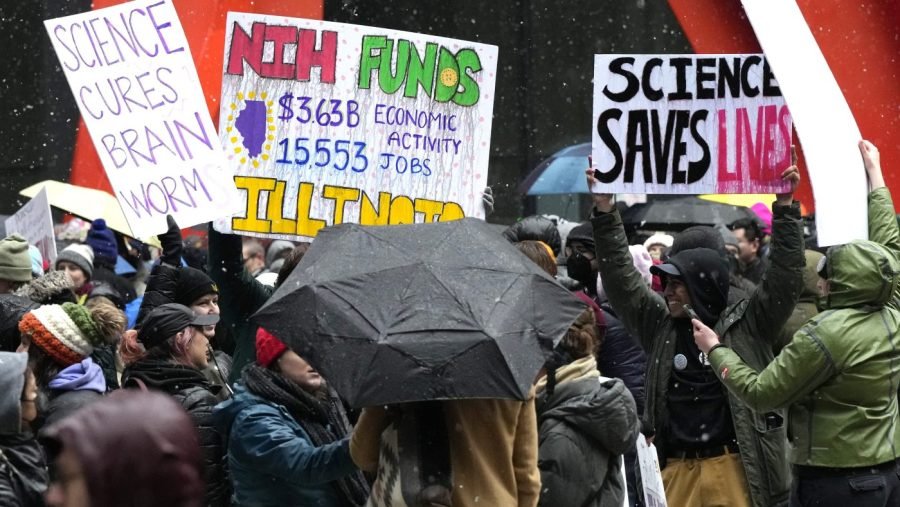 Most in DC area say they've been hurt by federal job cuts, furloughs: Gallup
