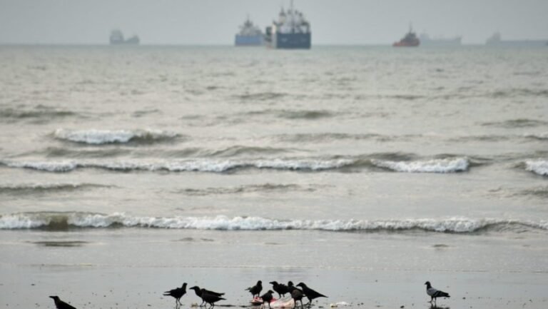 Iran to announce 'restricted zone' near Strait of Hormuz as tensions simmer