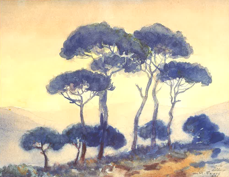 The Pine Trees That Would Not Leave Me