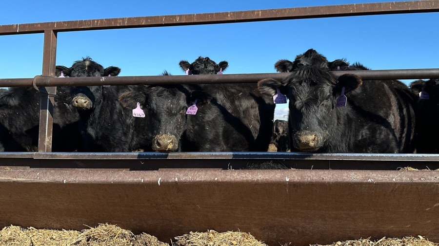 Trump faces down beef backlash. Will import plan pay off?