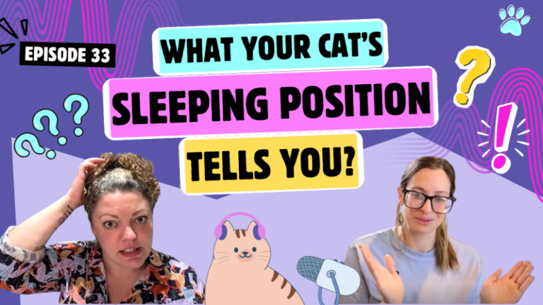Chatting About Sleeping Positions, Loafing & Cats in Tubes | Chatty Cattys, Episode 33