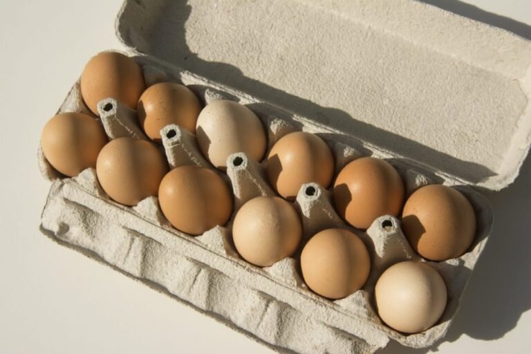 Charlotte food bank receives 270,000 eggs as part of NC Attorney General's settlement with producers