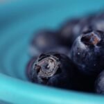 Compound in blueberries may help muscles burn fat, study finds