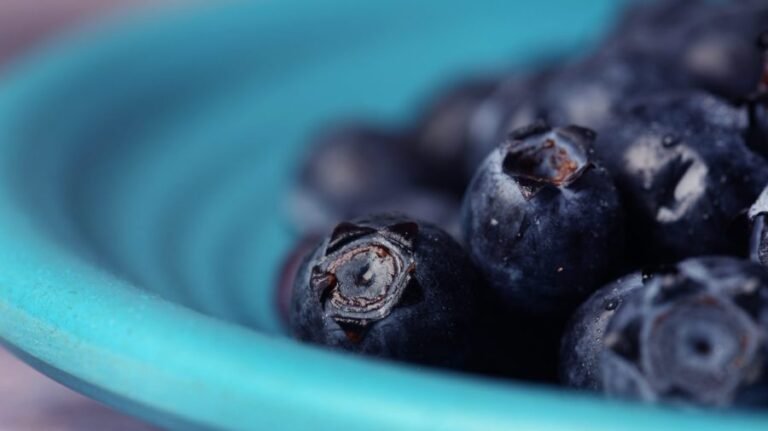Compound in blueberries may help muscles burn fat, study finds