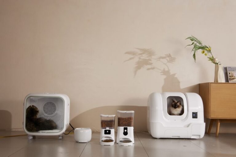 How Smart Litter Solutions Can Create a Healthier Life for Cats