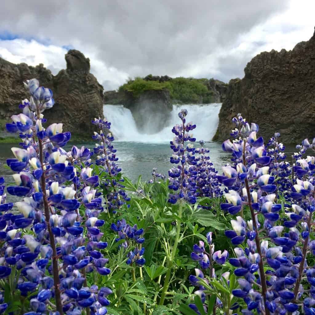 Exploring the Incredible Natural Wonders in Iceland