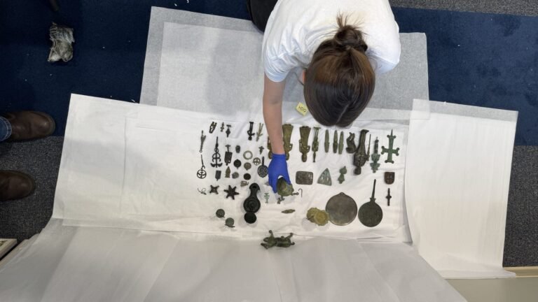 ICE Seizes 22,000 Antiquities in Florida