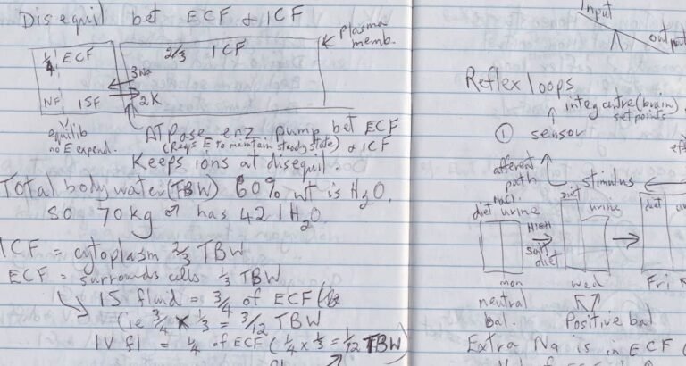 How to Take Better Notes