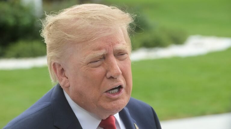 Tariff challengers take Trump back to court: 'Rinse and repeat'