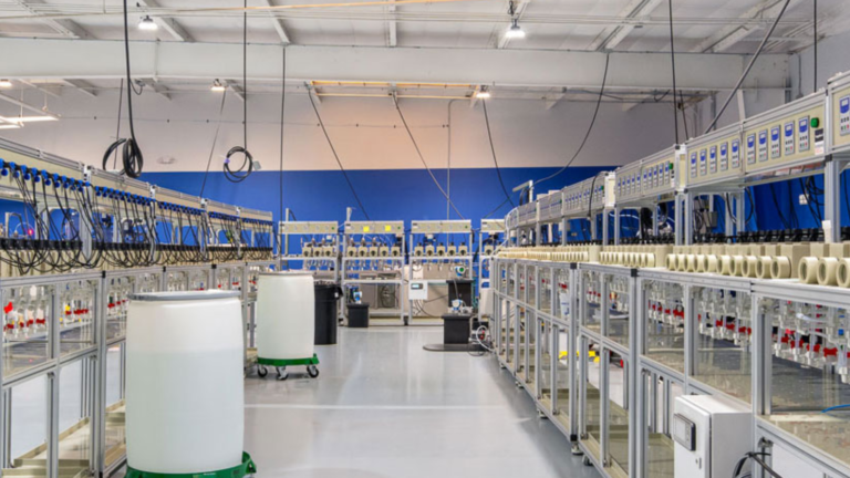 Magnet Maker Building $1.2B Plant West of Charlotte