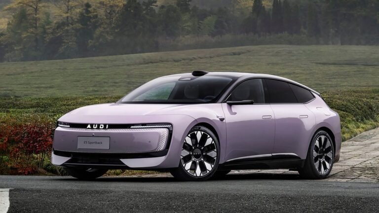 Audi Suing Its Own Importer Over AUDI Imports – Seriously
