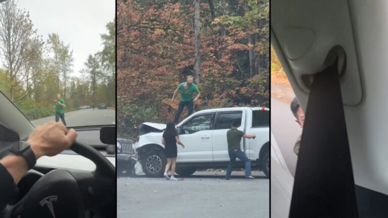 Man Clings On To Moving Tesla While Allegedly Fleeing Knife-Wielding Driver