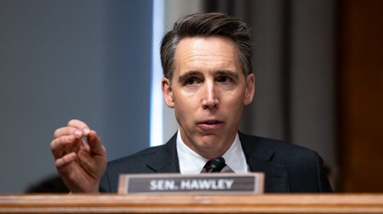 Hawley expands Flock camera probe to other AI-powered surveillance systems  