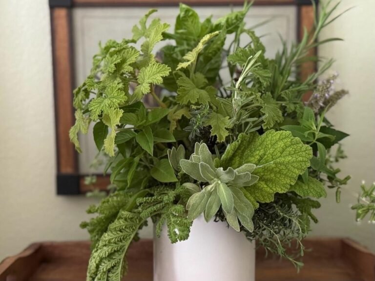 Living with Herbs