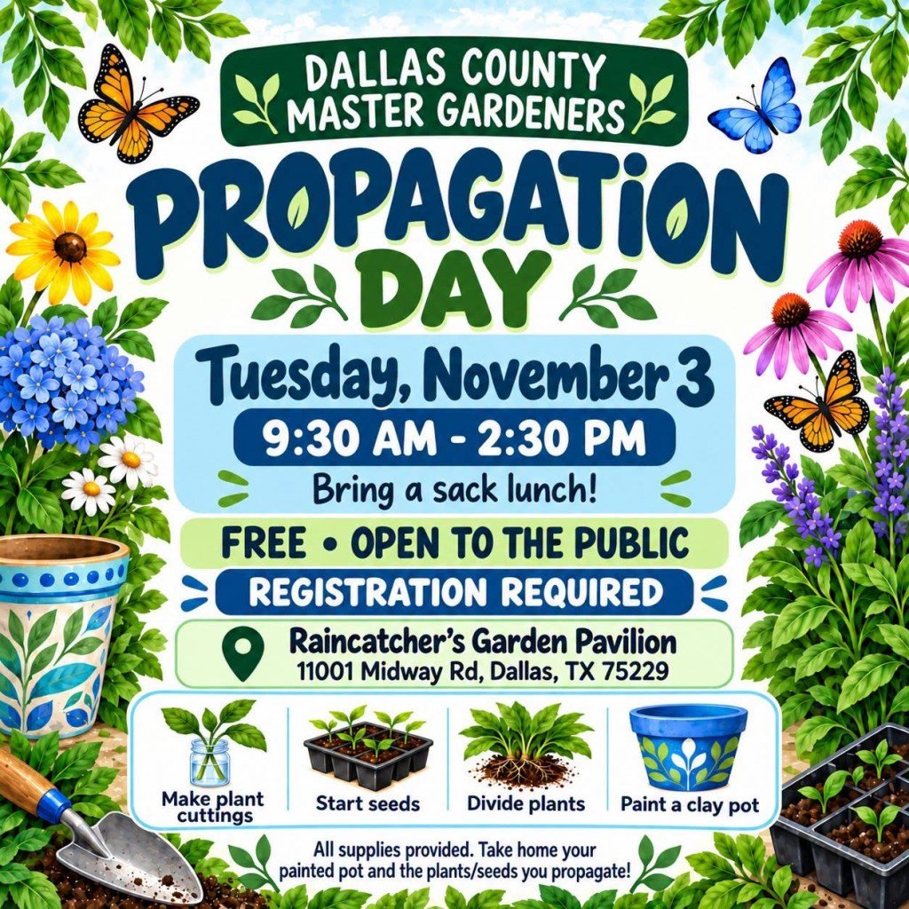 Dallas County Master Gardeners Propagation Day