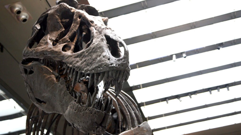 Scientists Discover T. Rex Blood Was As Hot As Human Blood, Suggesting They Were Fast-Running Predators