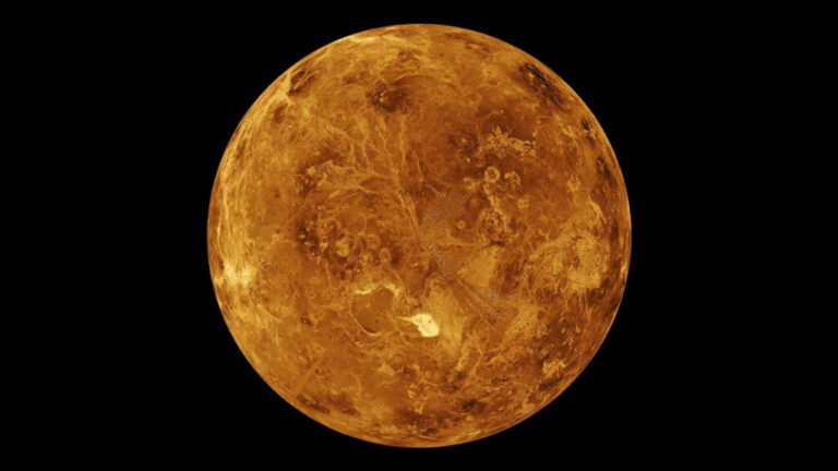 Venusian Sulfur Clouds Might Not Be So Inhospitable After All