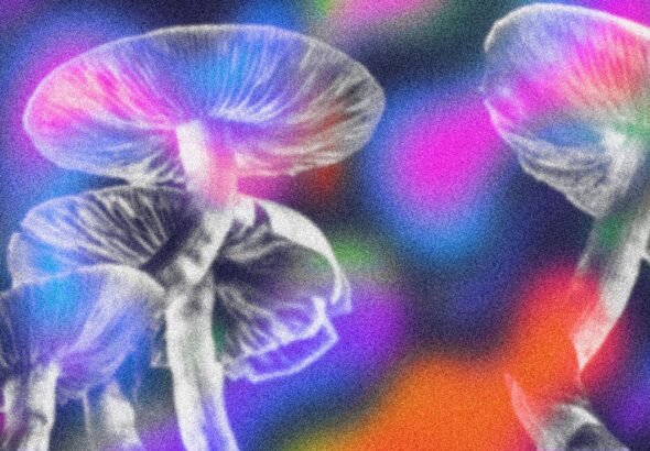 Scientists found a surprising potential use for the psychedelic in magic mushrooms
