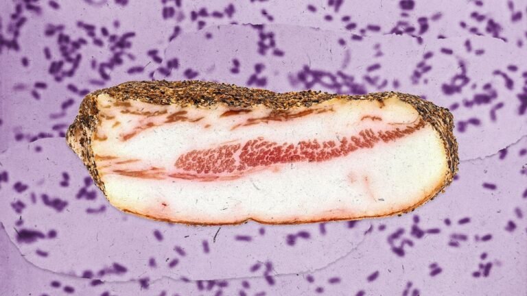 Pork recall hits 8 states: 1,500 pounds of product may be contaminated with potentially deadly bacteria