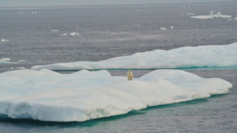 The Arctic Report Card Matters More Than Ever; AGU Joins Partners to Publish in 2026