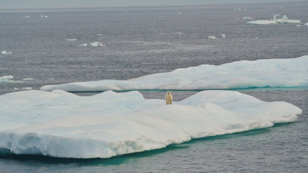 The Arctic Report Card Matters More Than Ever; AGU Joins Partners to Publish in 2026