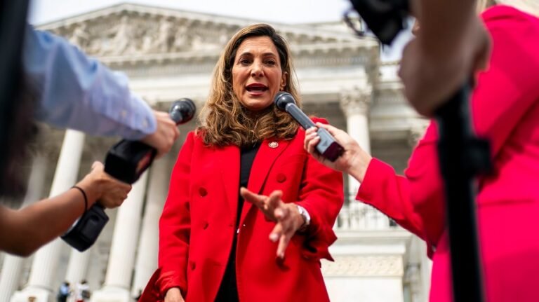 Florida Republican calls interim Venezuelan president 'necessary evil'