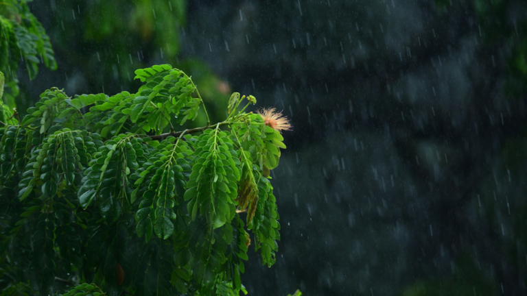 Extreme Equatorial Storms are Larger and More Persistent Under Warming