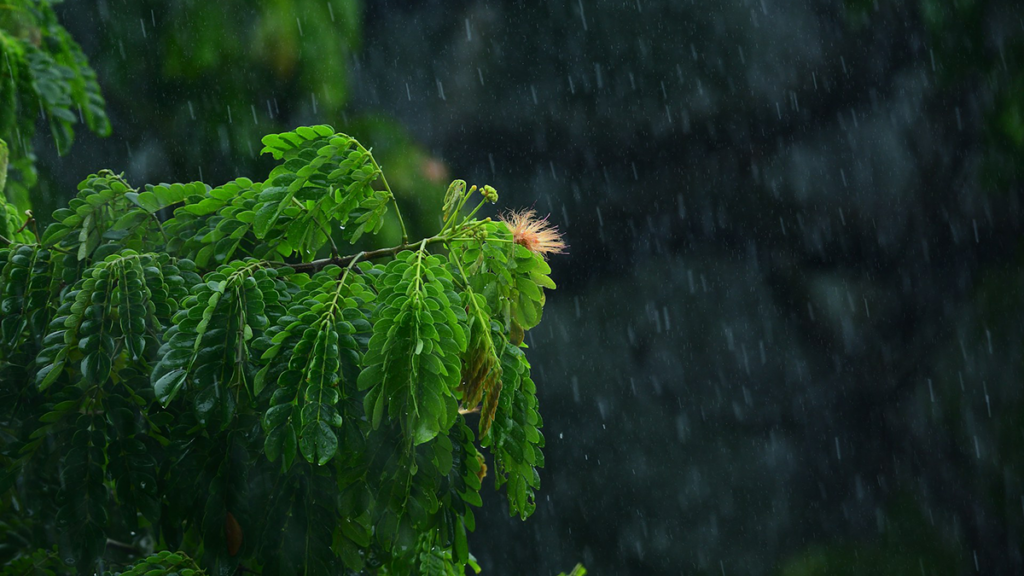Extreme Equatorial Storms are Larger and More Persistent Under Warming