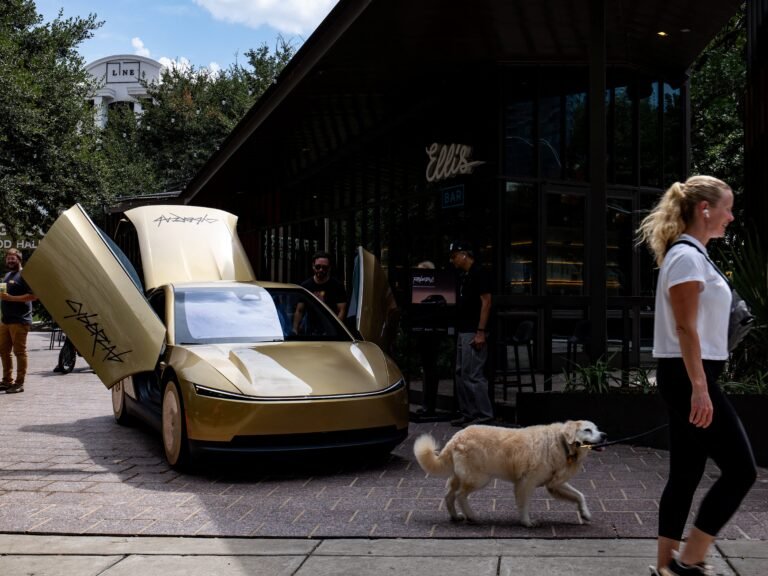 Elon Musk says Tesla is trying to prevent robotaxis from running over cats at night