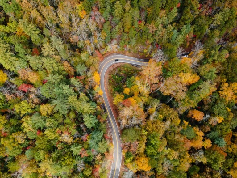 States with the best and worst road quality, ranked