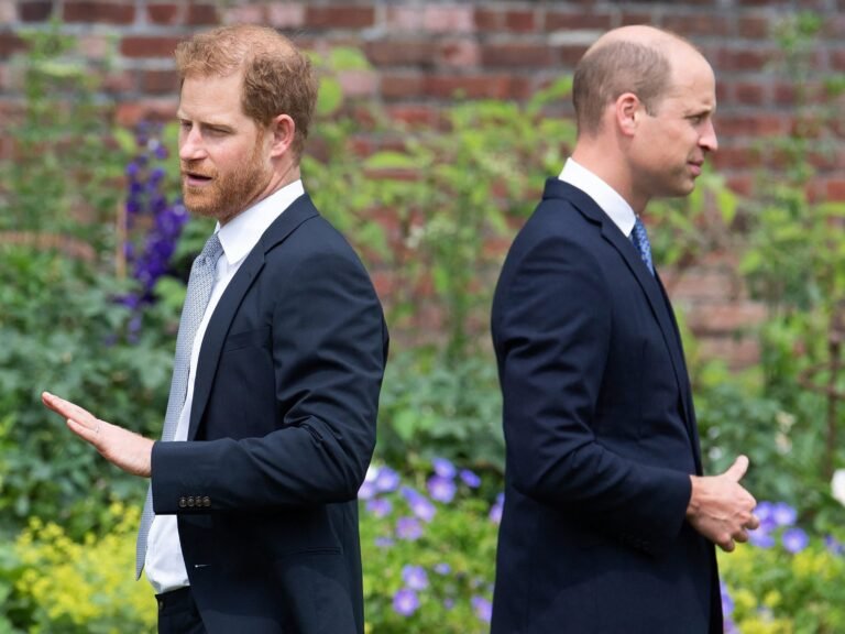 Photos show how Prince Harry and Prince William's relationship has changed through the years