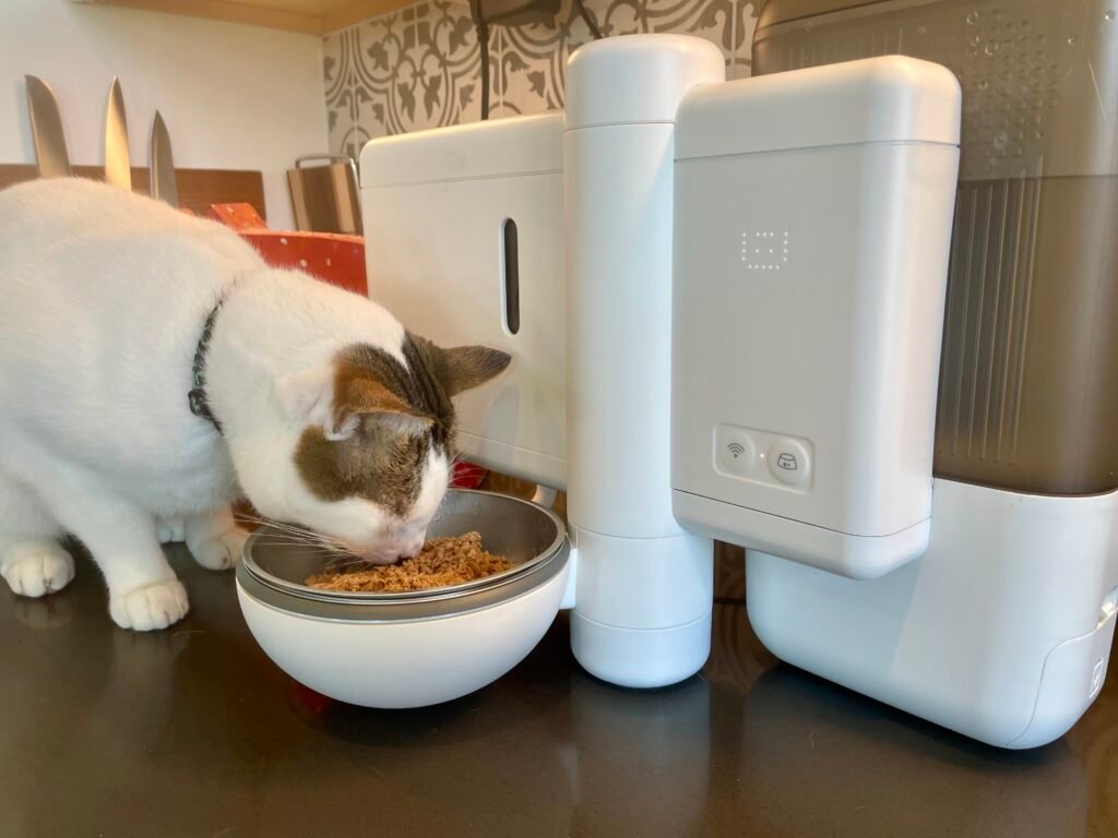 Neakasa Riko Fresh-Made Wet Meal Feeder Review 2026: Our Expert’s Opinion