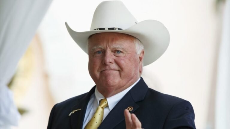 Texas agriculture commissioner: GOP could pay price for data center push