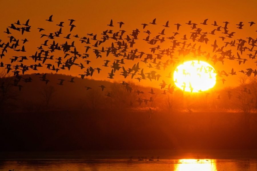 Permanent daylight saving time bill's future uncertain after Senate adjourns