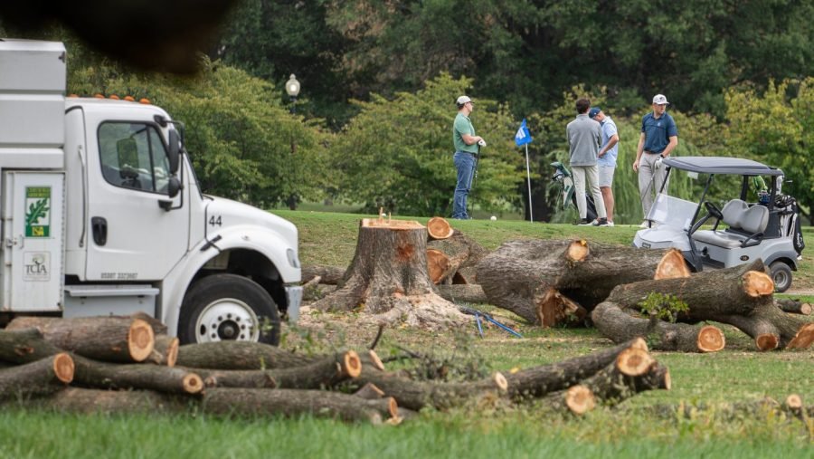Federal judge admonishes Trump administration over East Potomac Park tree removal