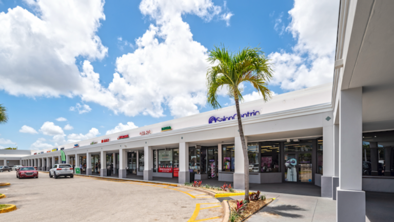 Publix Pays $83.5M for Miami Shopping Center