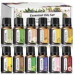 Essential Oils Set, 12 Pack only $5.99!