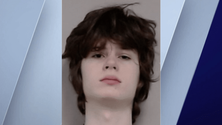 Palatine man charged in alleged mass shooting plot targeting Hindu place of worship