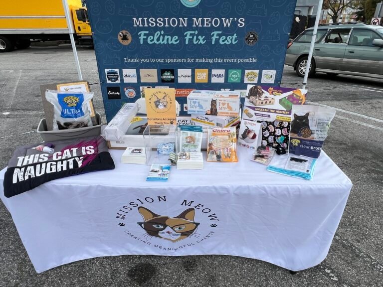 Feline Fix Fest 2026