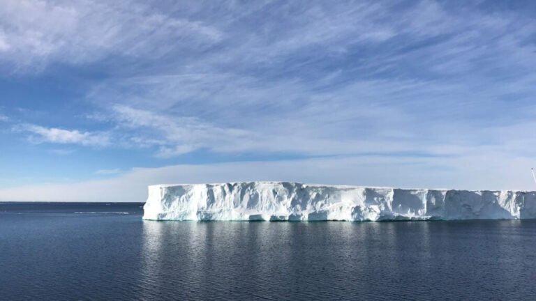 The Ocean Circulation That Persists Even After a Key AMOC Component Fails