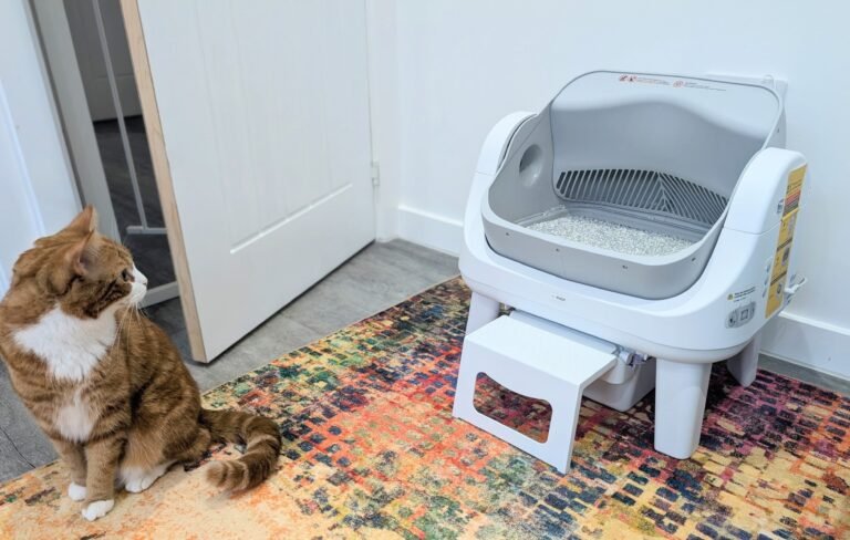 PetPivot AutoScooper 12 Review 2026: Our Expert Opinion