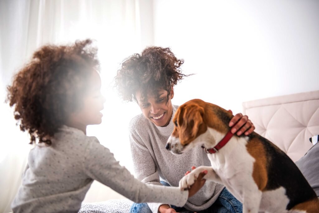 Thinking About Adopting A Dog? Here Are 5 Things To Ask Before Bringing Them Home