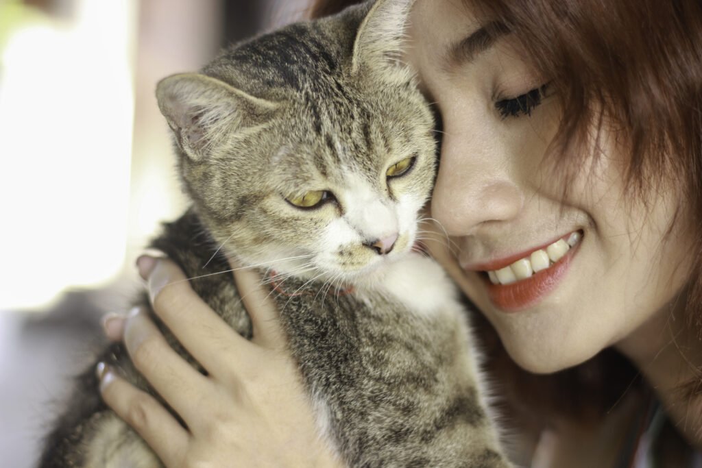 The Secret to National Happiness is More Cats…or is it?