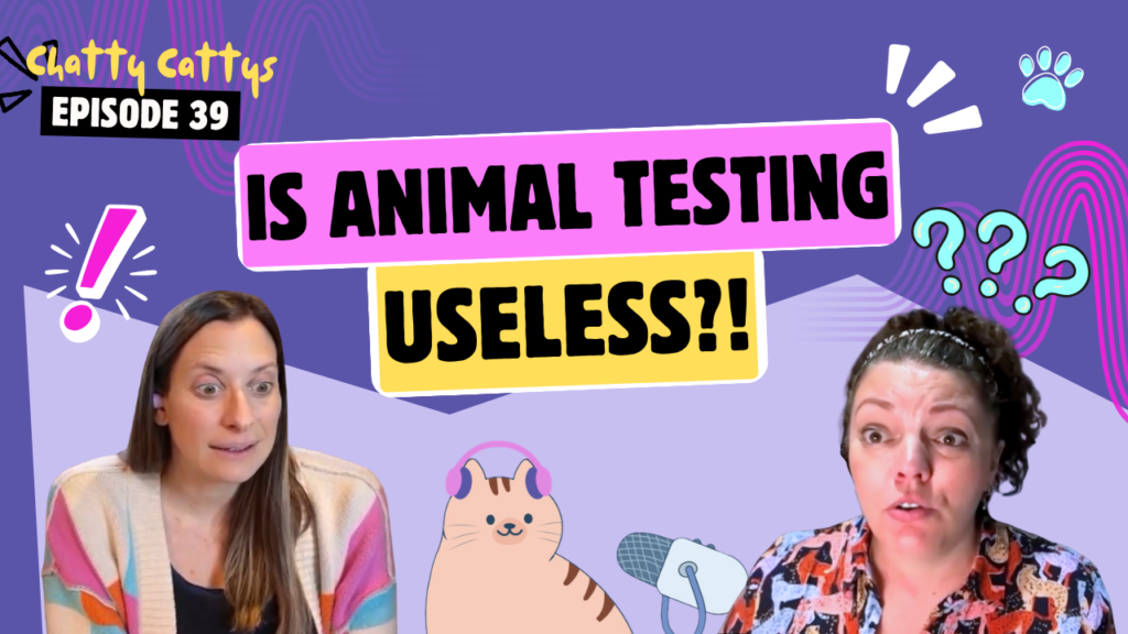 Chatting About Cosmetic Animal Testing, Covid Conspiracies, & Brainless Cats | Chatty Cattys, Episode 39